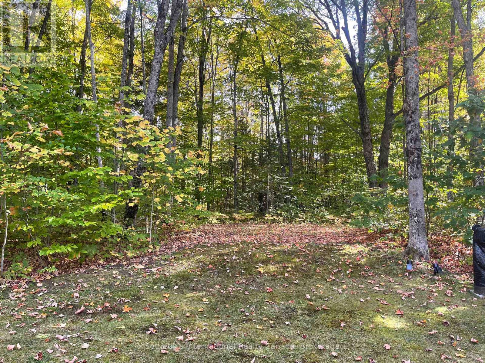 1160 Skeleton Lake Rd 2 Road, Muskoka Lakes (Watt), Ontario  P0B 1M0 - Photo 29 - X12400000