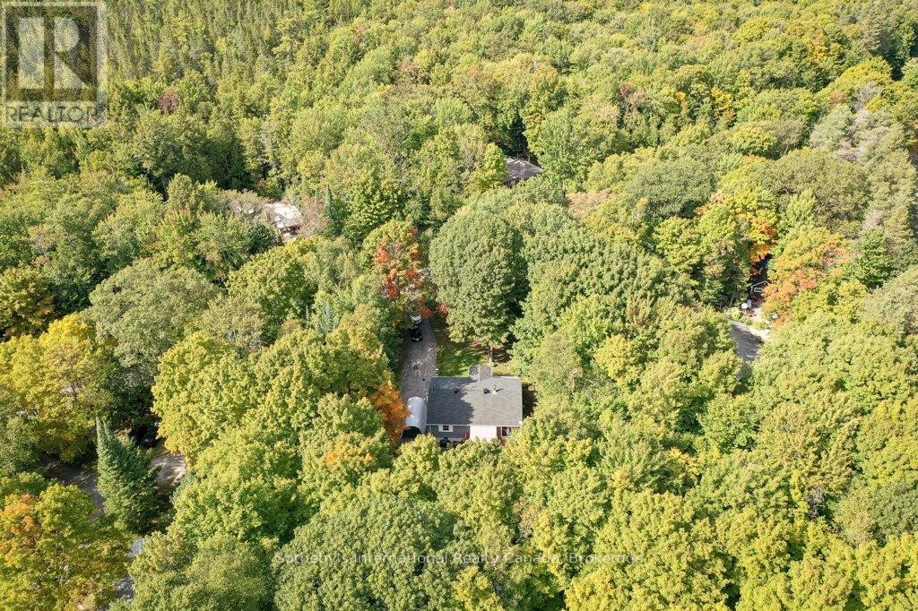 1160 Skeleton Lake Rd 2 Road, Muskoka Lakes (Watt), Ontario  P0B 1M0 - Photo 26 - X12400000