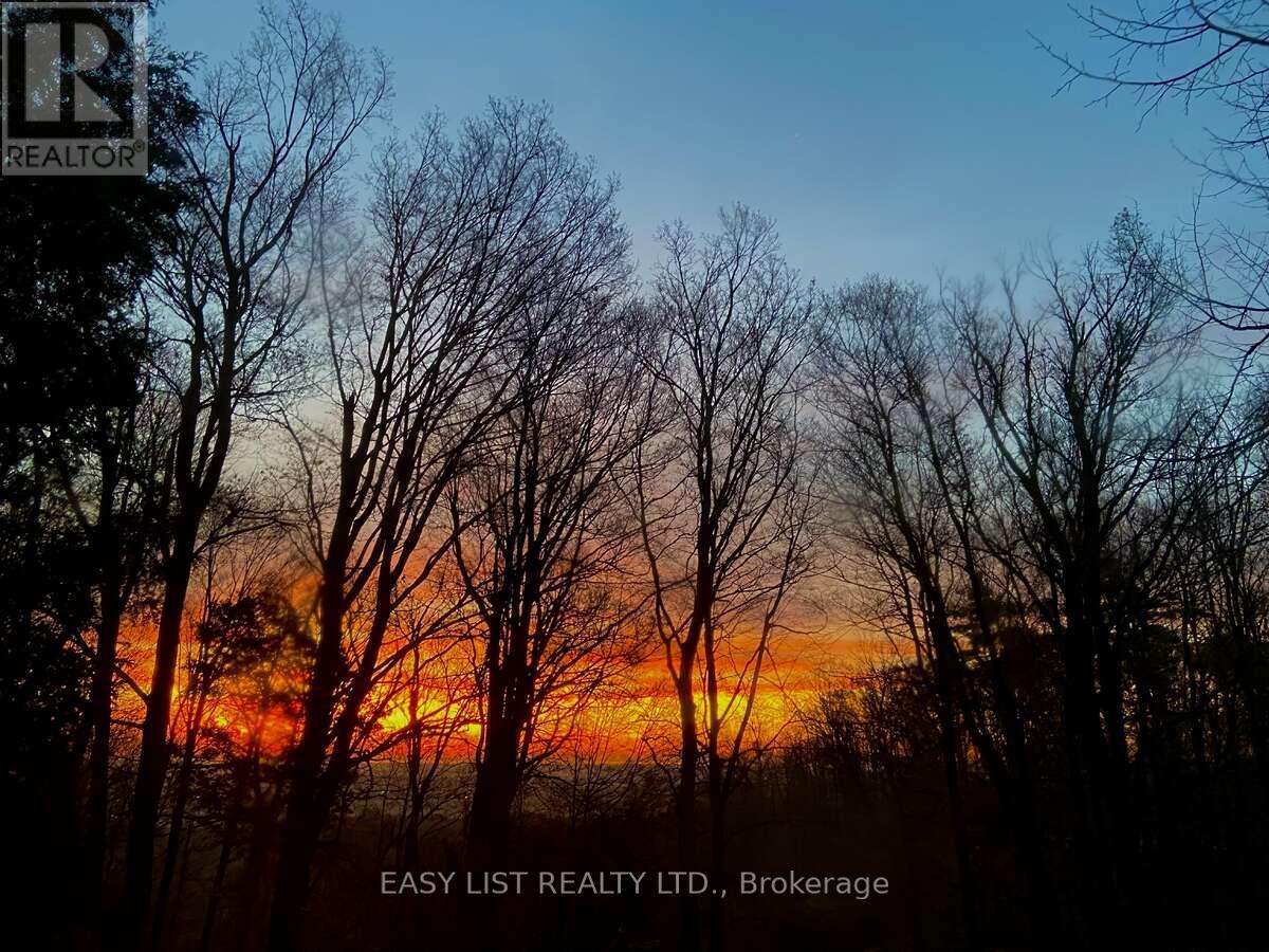 7507 Bell School Line, Milton, Ontario  L9T 2Y1 - Photo 18 - W12445175