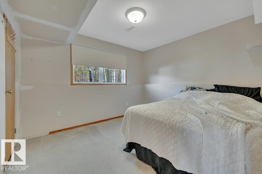 273049 Twp Road 480, Rural Wetaskiwin County, Alberta  T0C 2P0 - Photo 14 - E4460878