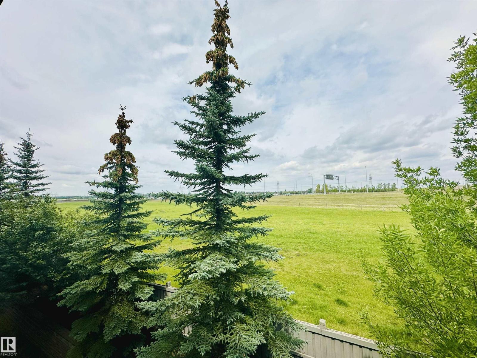 646 Mcallister Lo Sw, Edmonton, Alberta  T6W 0B5 - Photo 29 - E4460882