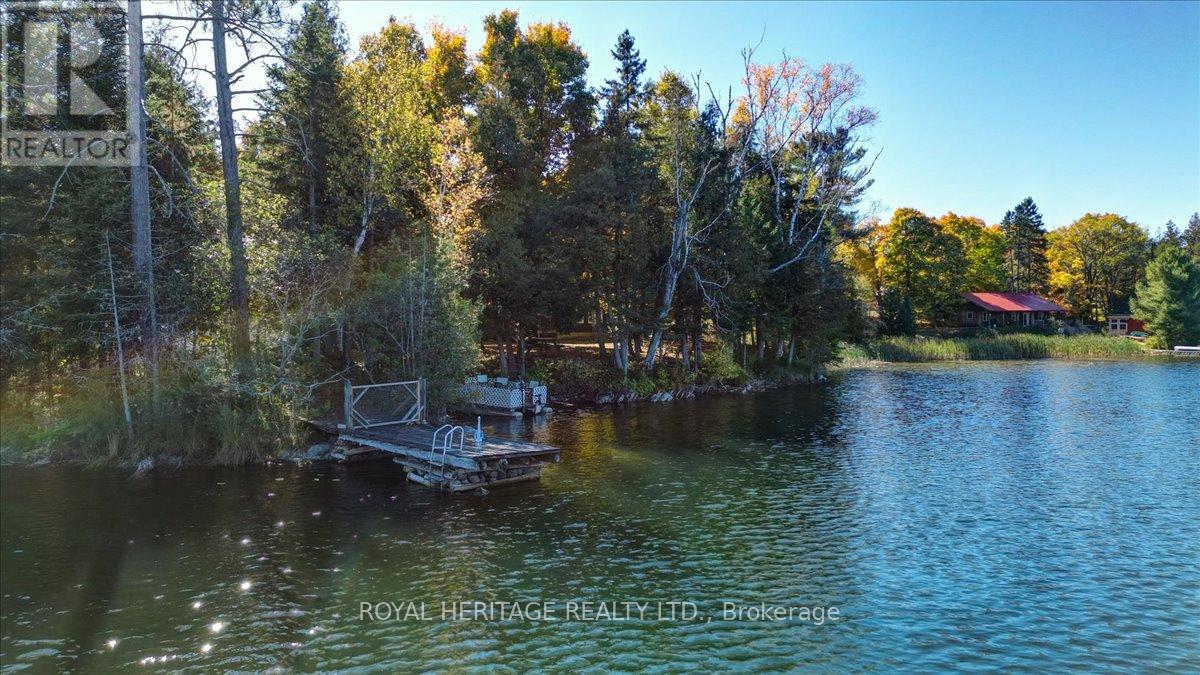 337 Upper Turriff Road, Bancroft, Ontario  K0L 2L0 - Photo 49 - X12425496