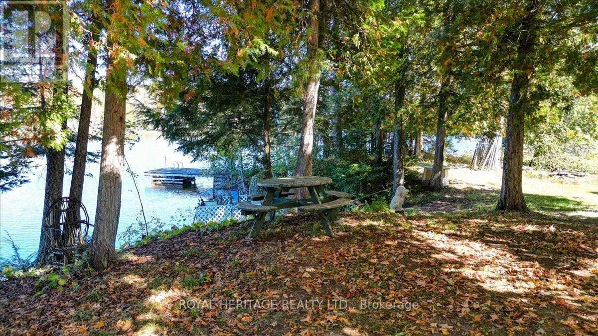337 Upper Turriff Road, Bancroft, Ontario  K0L 2L0 - Photo 43 - X12425496