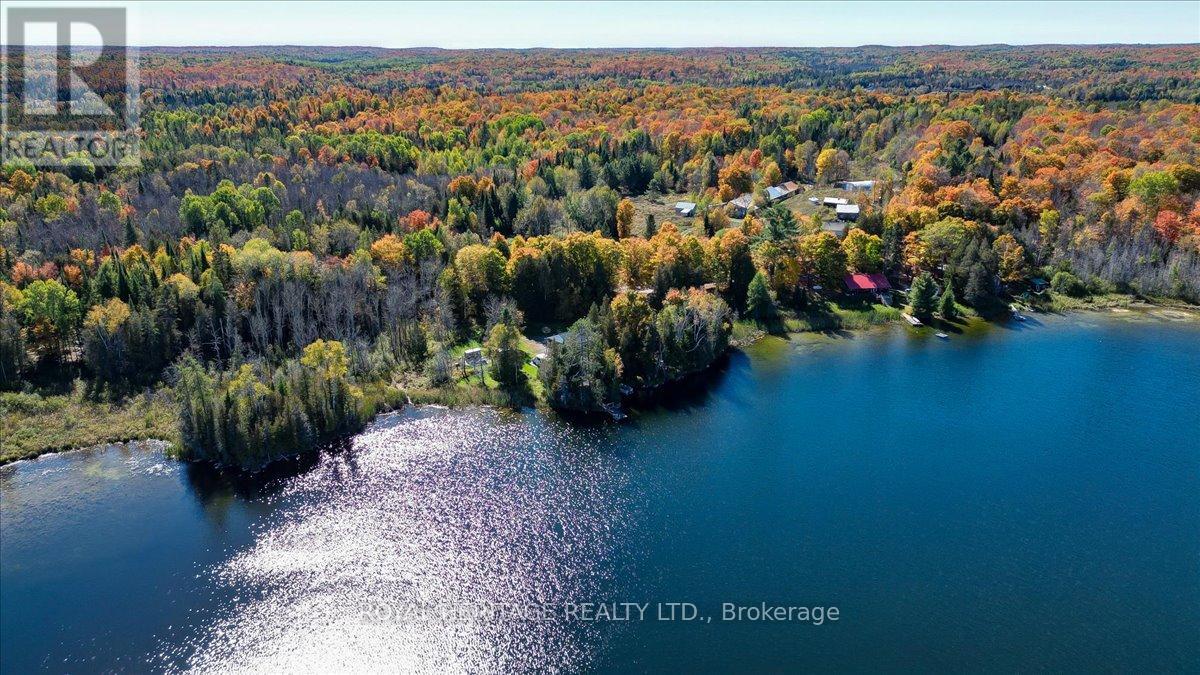 337 Upper Turriff Road, Bancroft, Ontario  K0L 2L0 - Photo 28 - X12425496