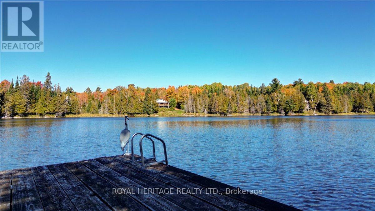 337 Upper Turriff Road, Bancroft, Ontario  K0L 2L0 - Photo 45 - X12425496