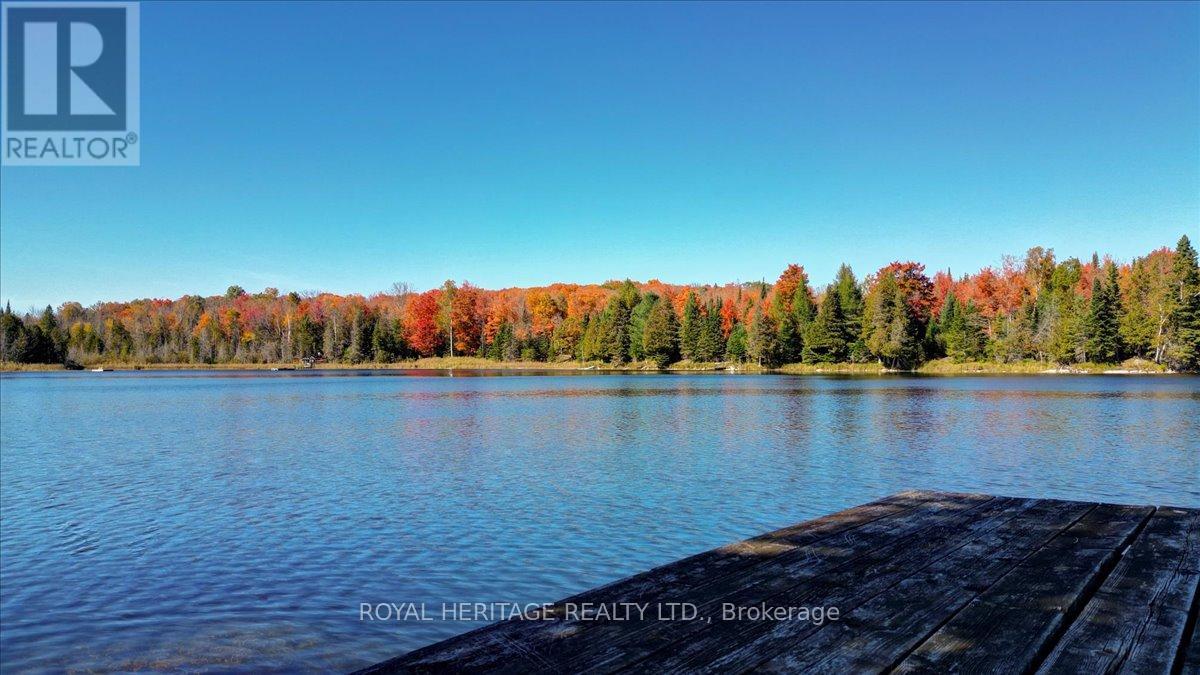 337 Upper Turriff Road, Bancroft, Ontario  K0L 2L0 - Photo 46 - X12425496