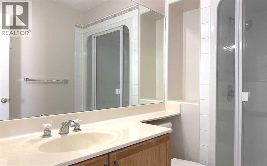 244 Los Alamos Place Ne, Calgary, Alberta  T1Y 7G7 - Photo 25 - A2261540