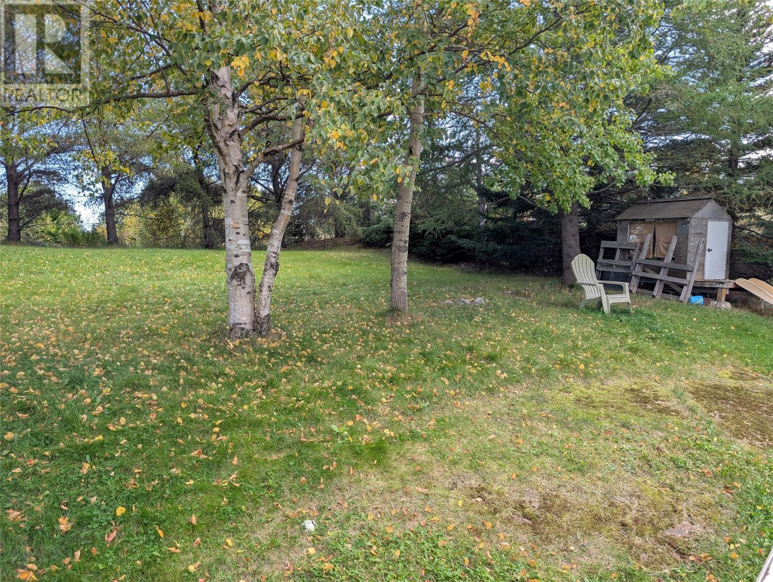 9 Ash Street, Springdale, Newfoundland & Labrador  A0J 1T0 - Photo 21 - 1289596