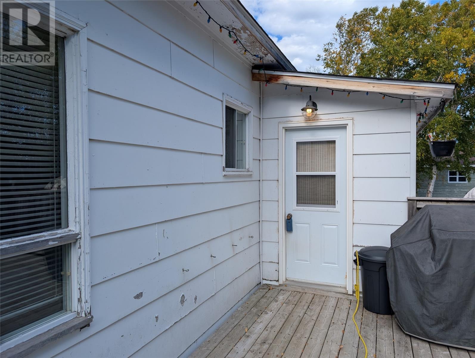 9 Ash Street, Springdale, Newfoundland & Labrador  A0J 1T0 - Photo 20 - 1289596