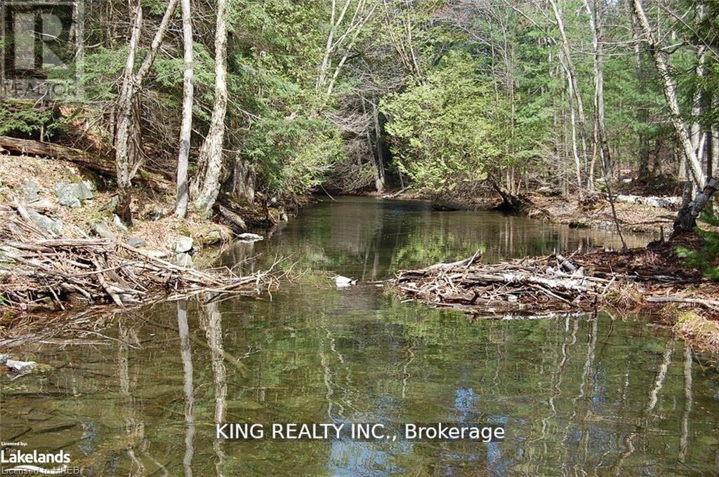 (Lot13) - 12 Zhaawashkwaa Miikan Road, Seguin, Ontario  P2A 0B2 - Photo 3 - X12445253