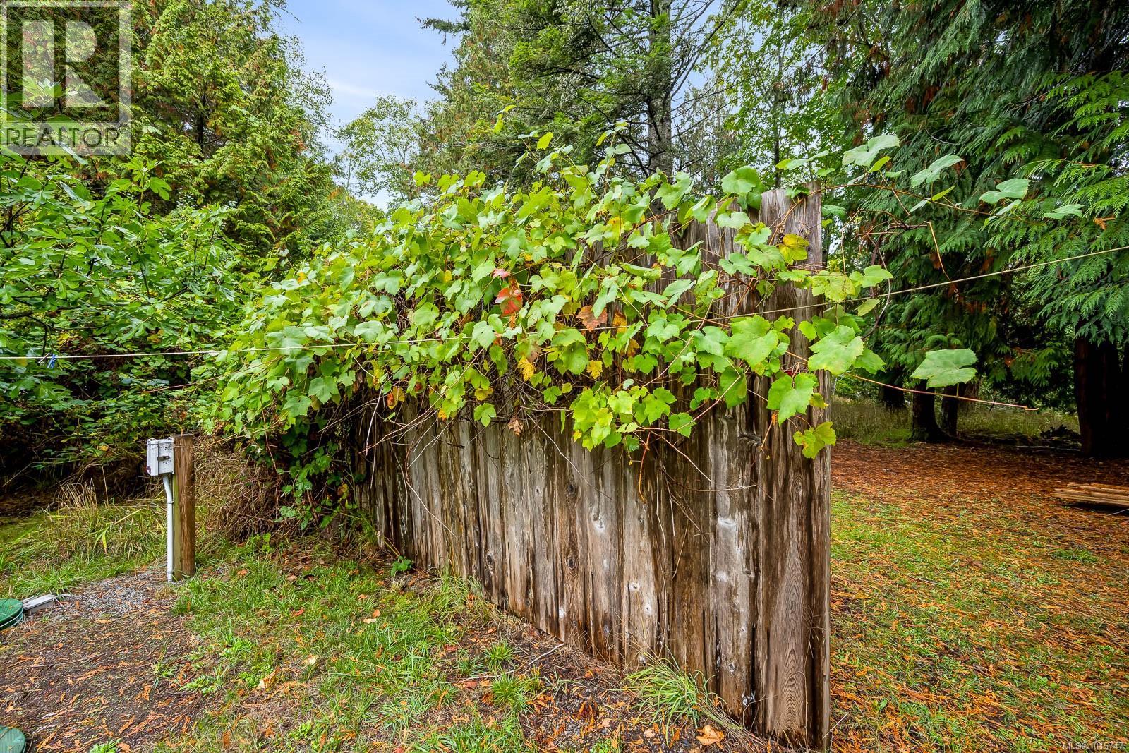 5450 Seawright Rd, Hornby Island, British Columbia  V0R 1Z0 - Photo 36 - 1015747
