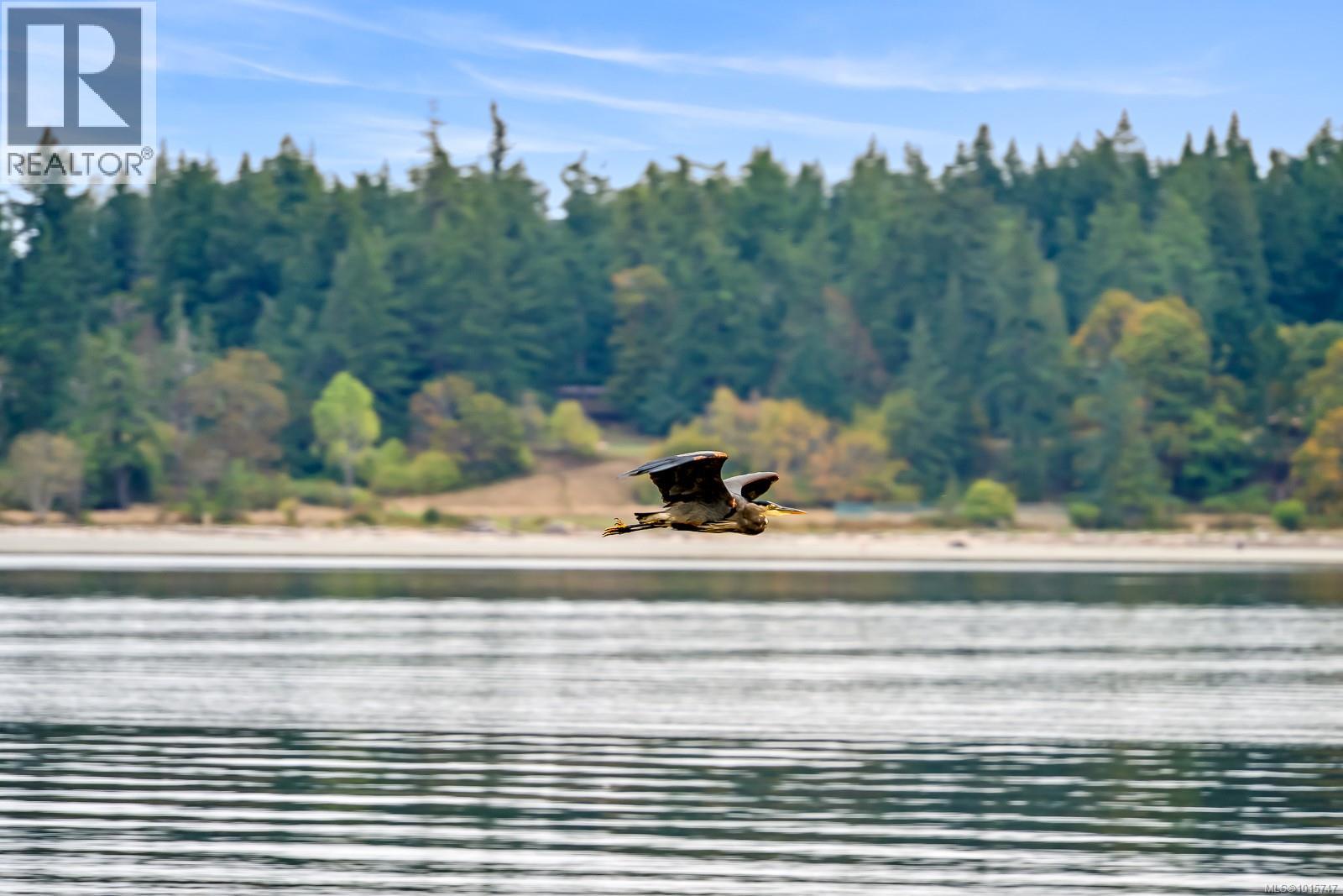 5450 Seawright Rd, Hornby Island, British Columbia  V0R 1Z0 - Photo 49 - 1015747