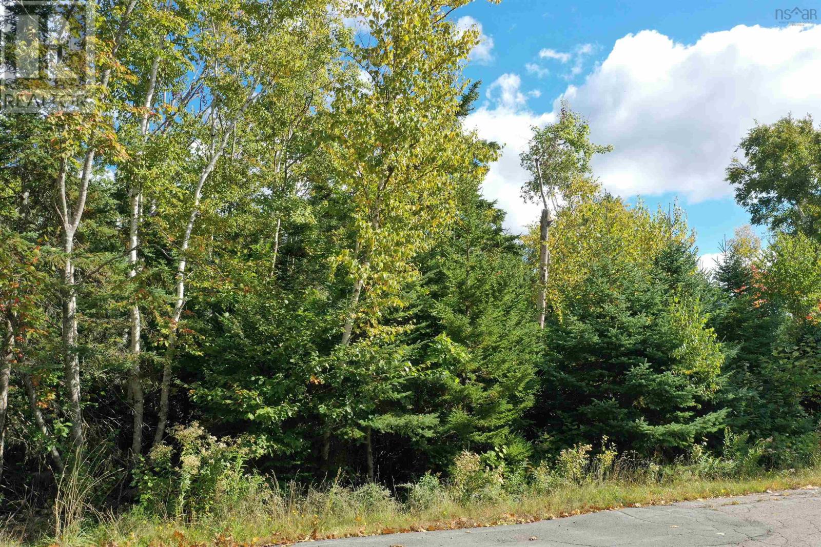 Lot 9 Reade Street, Pictou, Nova Scotia  B0K 1H0 - Photo 13 - 202525125