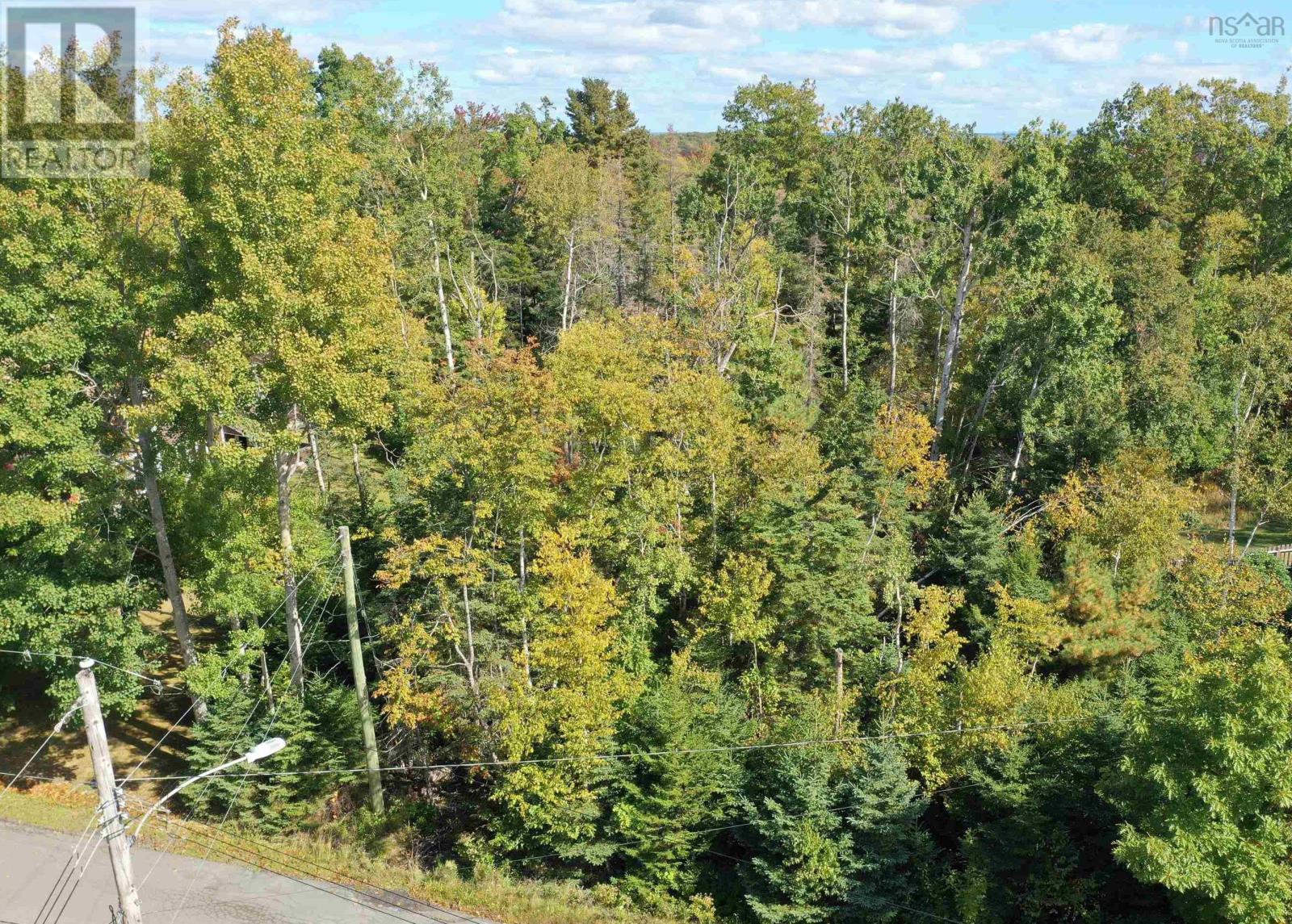 Lot 9 Reade Street, Pictou, Nova Scotia  B0K 1H0 - Photo 6 - 202525125