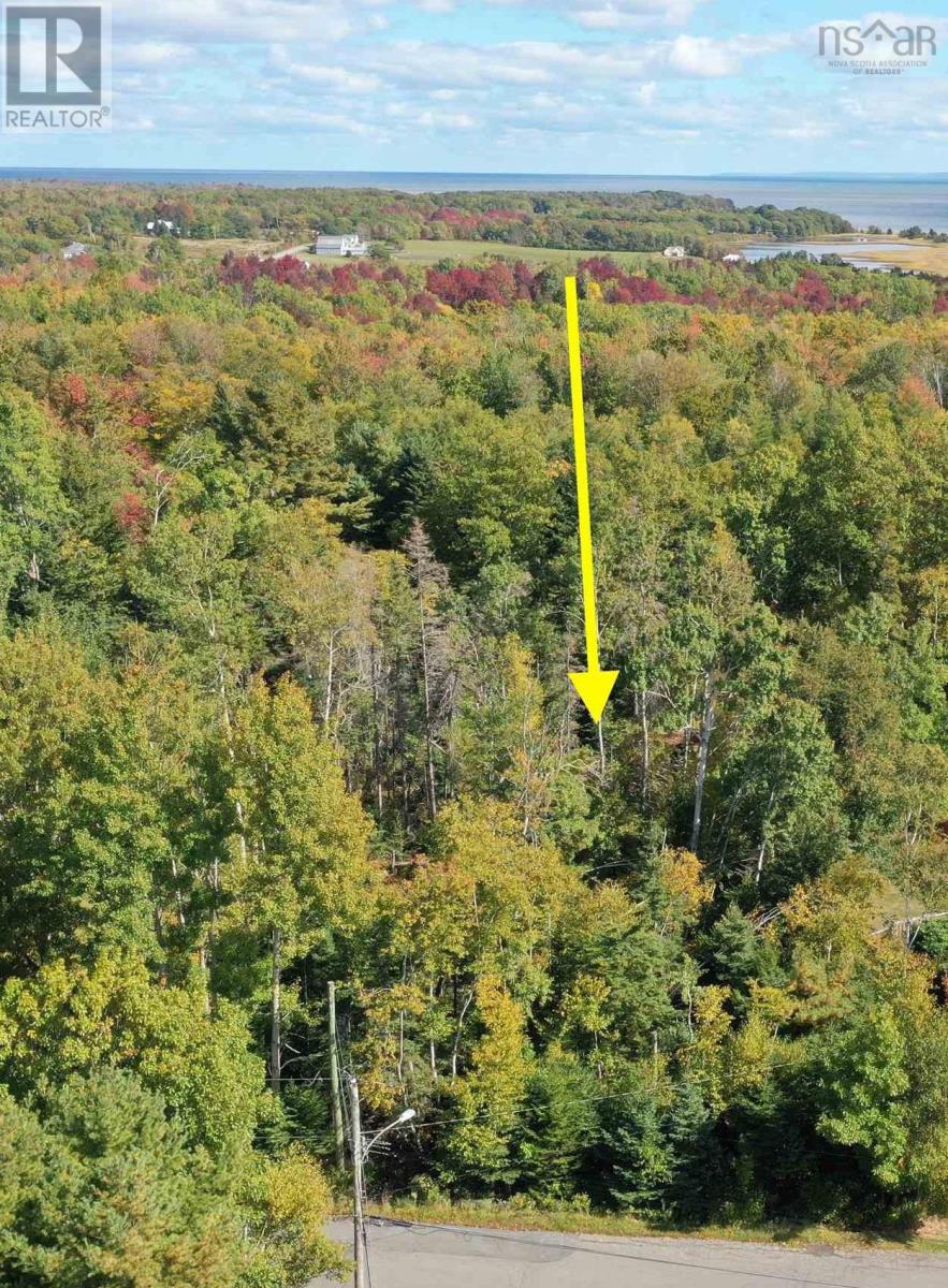Lot 9 Reade Street, Pictou, Nova Scotia  B0K 1H0 - Photo 8 - 202525125