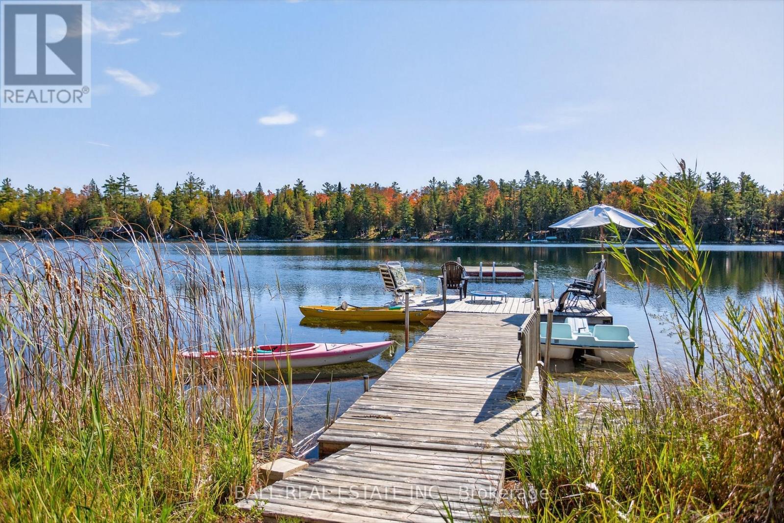 1352 County Rd 49 Road, Trent Lakes, Ontario  K0M 1A0 - Photo 44 - X12445274