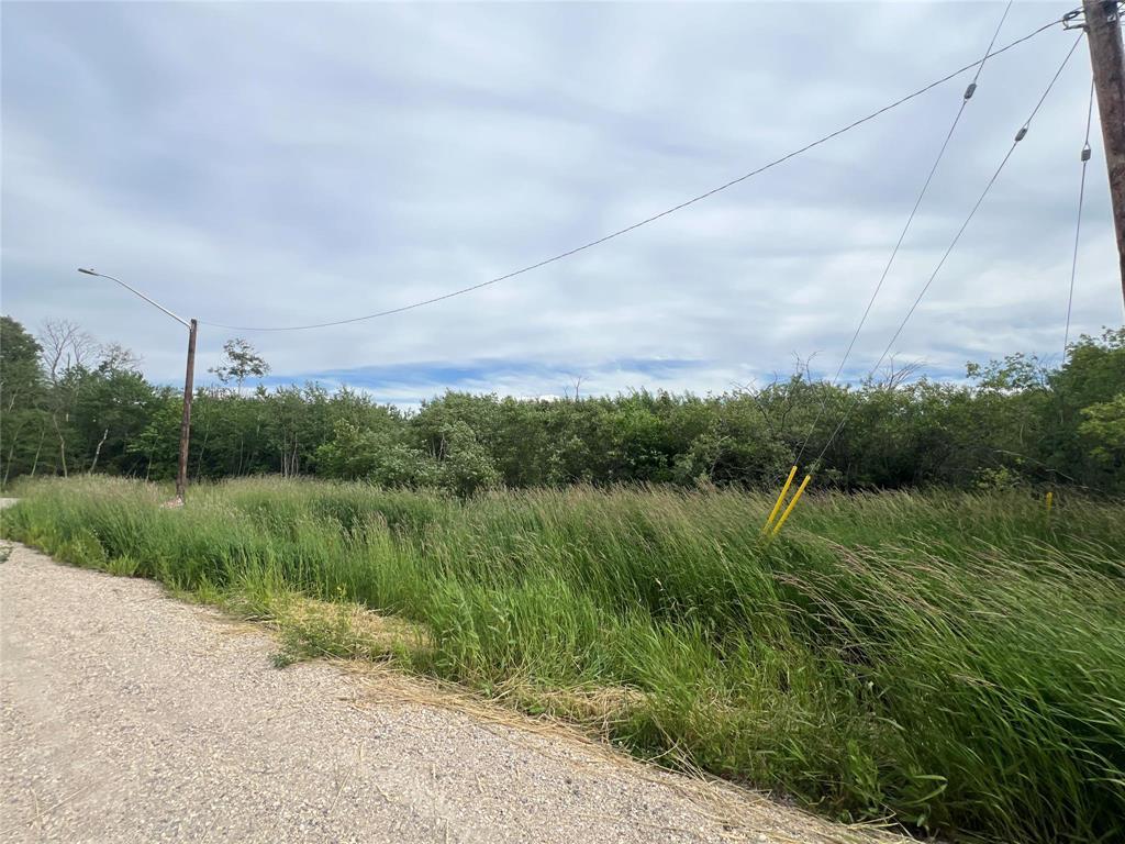 66 Cameron Drive, La Broquerie, Manitoba  R0A 0W2 - Photo 2 - 202525860