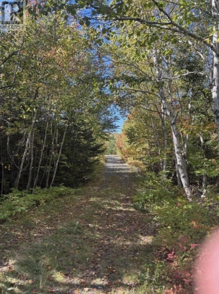 23 Lot Anderson Drive, Goldenville, Nova Scotia  B0J 0B3 - Photo 4 - 202525131