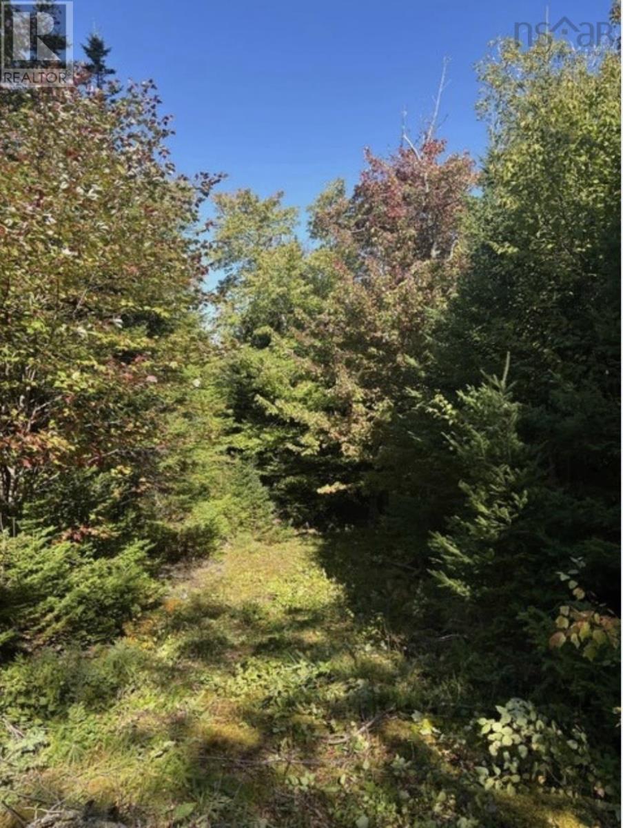 23 Lot Anderson Drive, Goldenville, Nova Scotia  B0J 0B3 - Photo 5 - 202525131