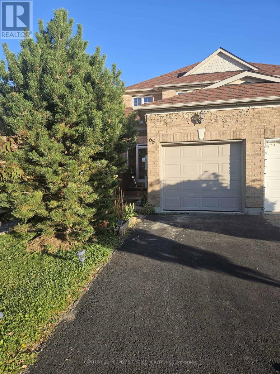 65 OLYMPIA CRESCENT, Brampton, Ontario