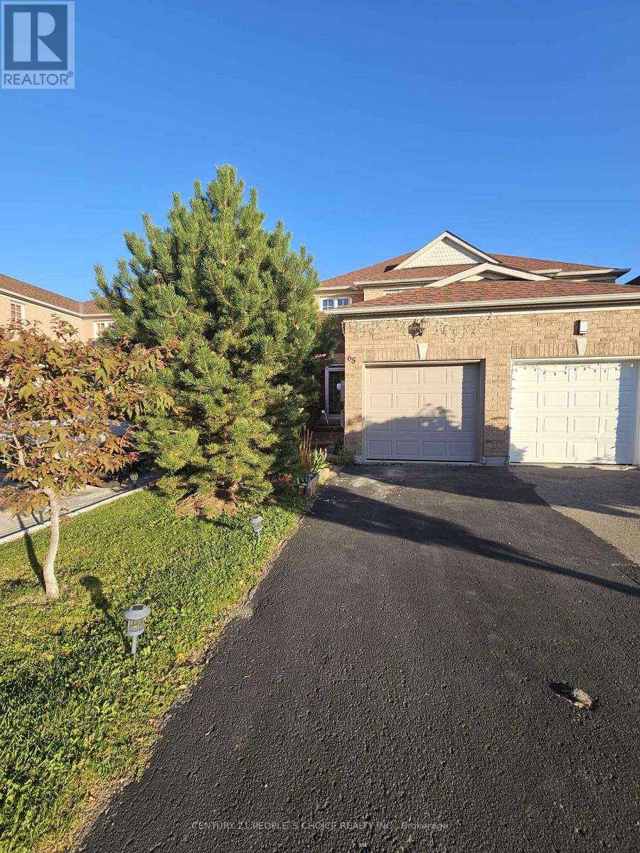 65 Olympia Crescent, Brampton, Ontario  L6X 4W2 - Photo 2 - W12445421