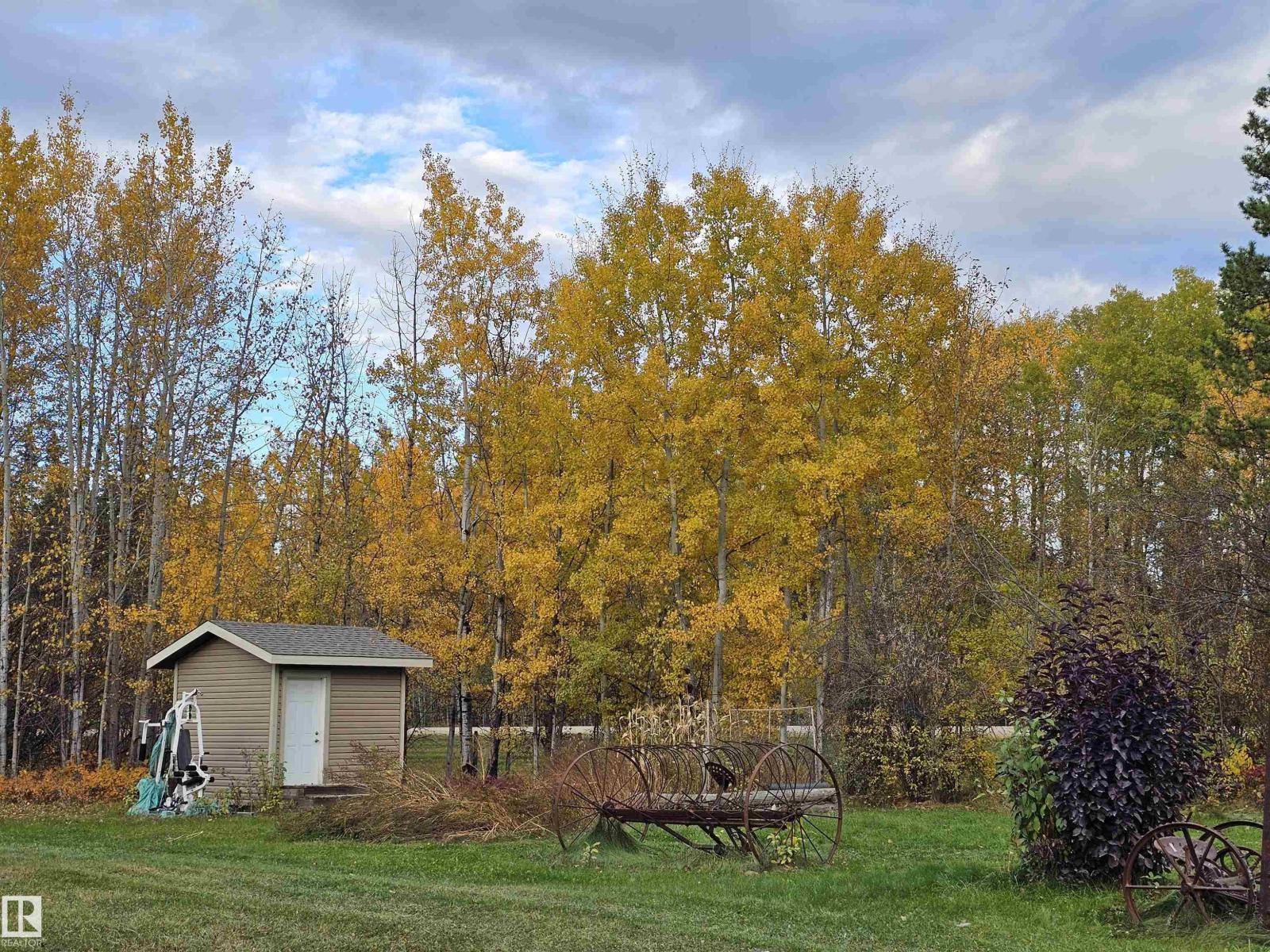 49510 Rge Road 80, Rural Brazeau County, Alberta  T7A 2A3 - Photo 32 - E4460586