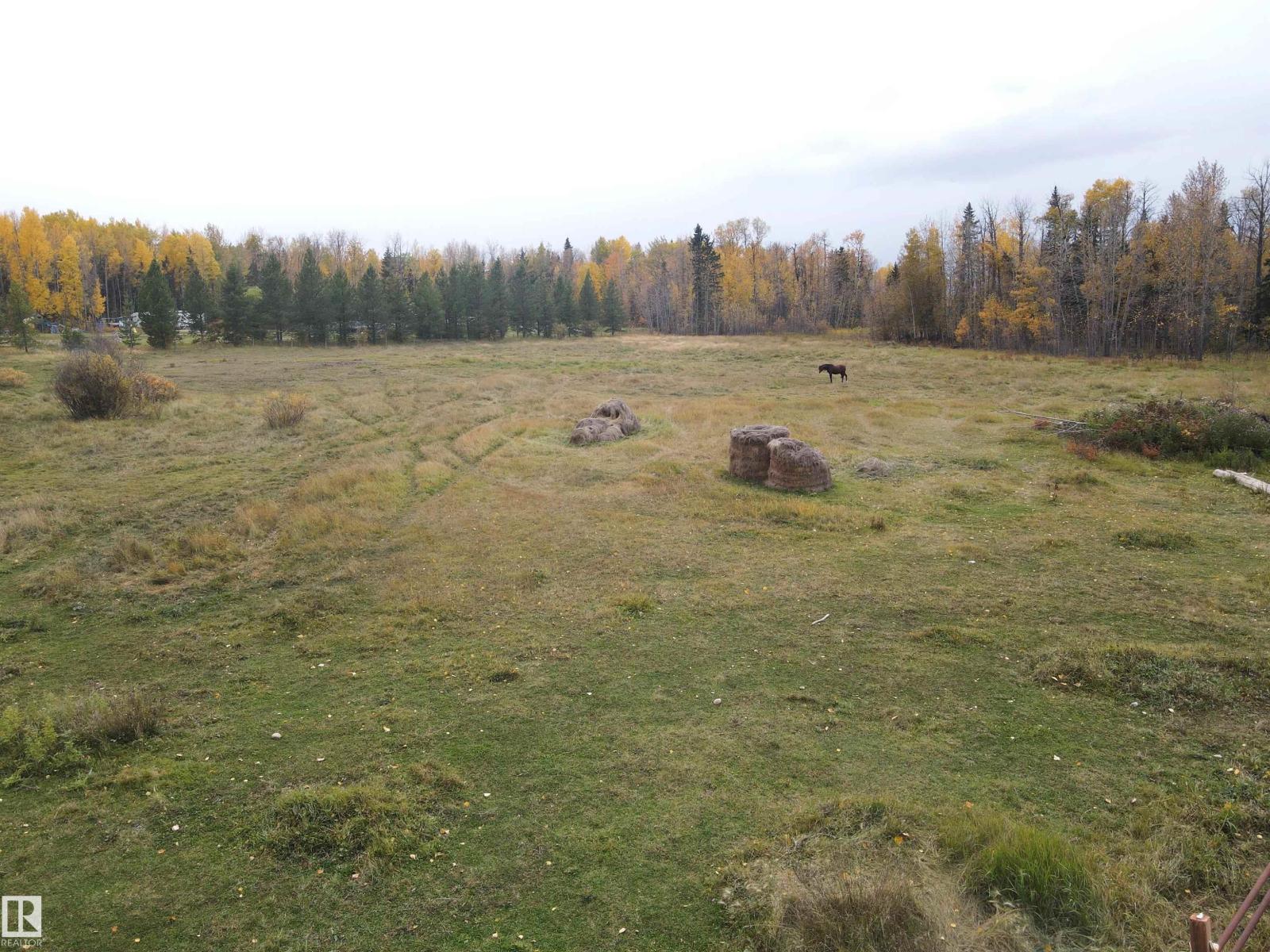 49510 Rge Road 80, Rural Brazeau County, Alberta  T7A 2A3 - Photo 55 - E4460586