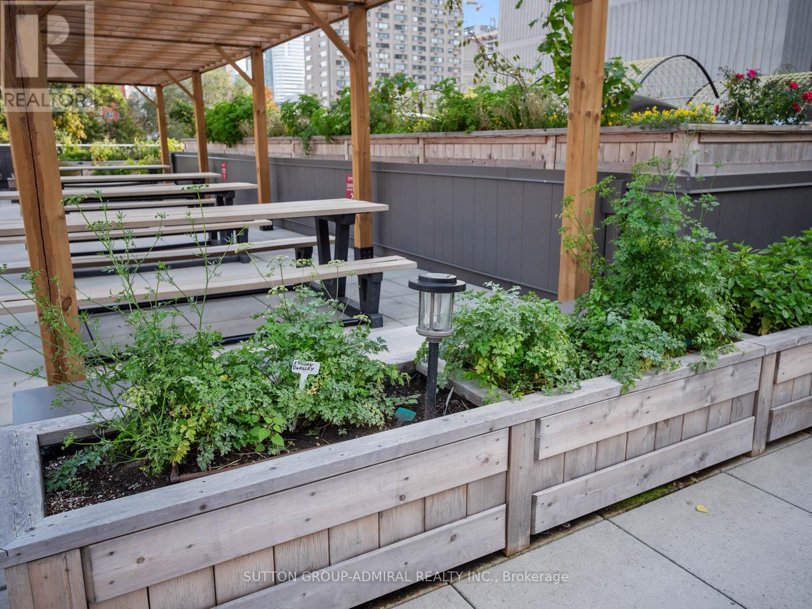 312 - 45 Carlton Street, Toronto, Ontario  M5B 2H9 - Photo 41 - C12445475