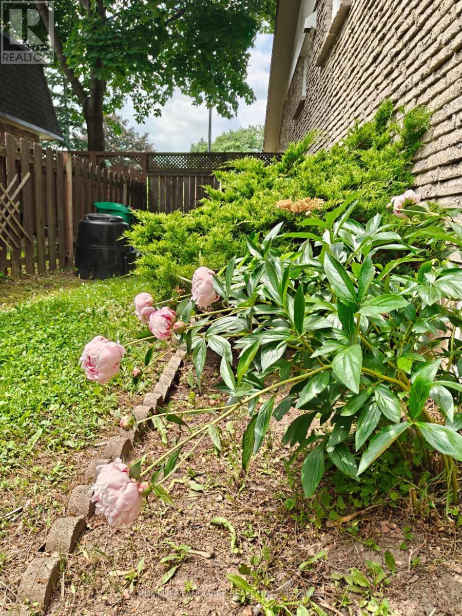 6929 Bilbao Lane, Mississauga, Ontario  L5N 1R2 - Photo 16 - W12445512