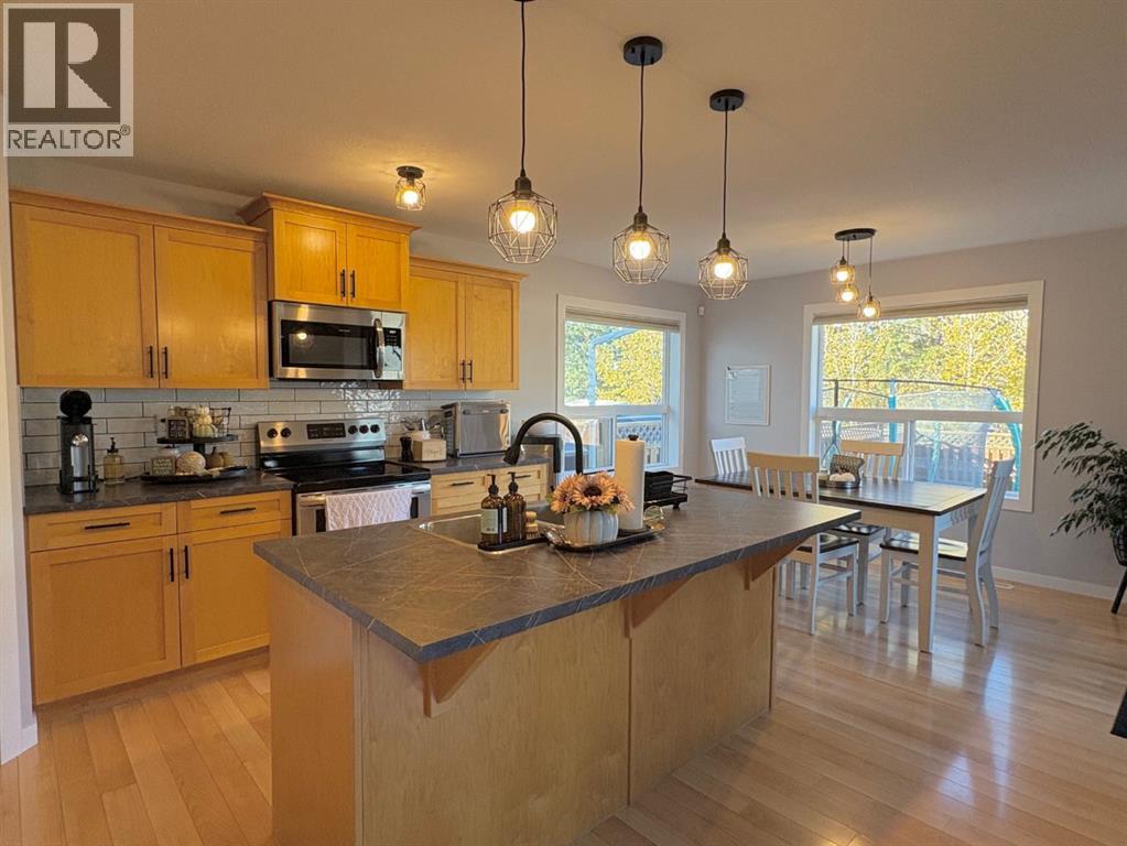 6016 44 Avenue, Rocky Mountain House, Alberta  T4T 1W4 - Photo 6 - A2261666