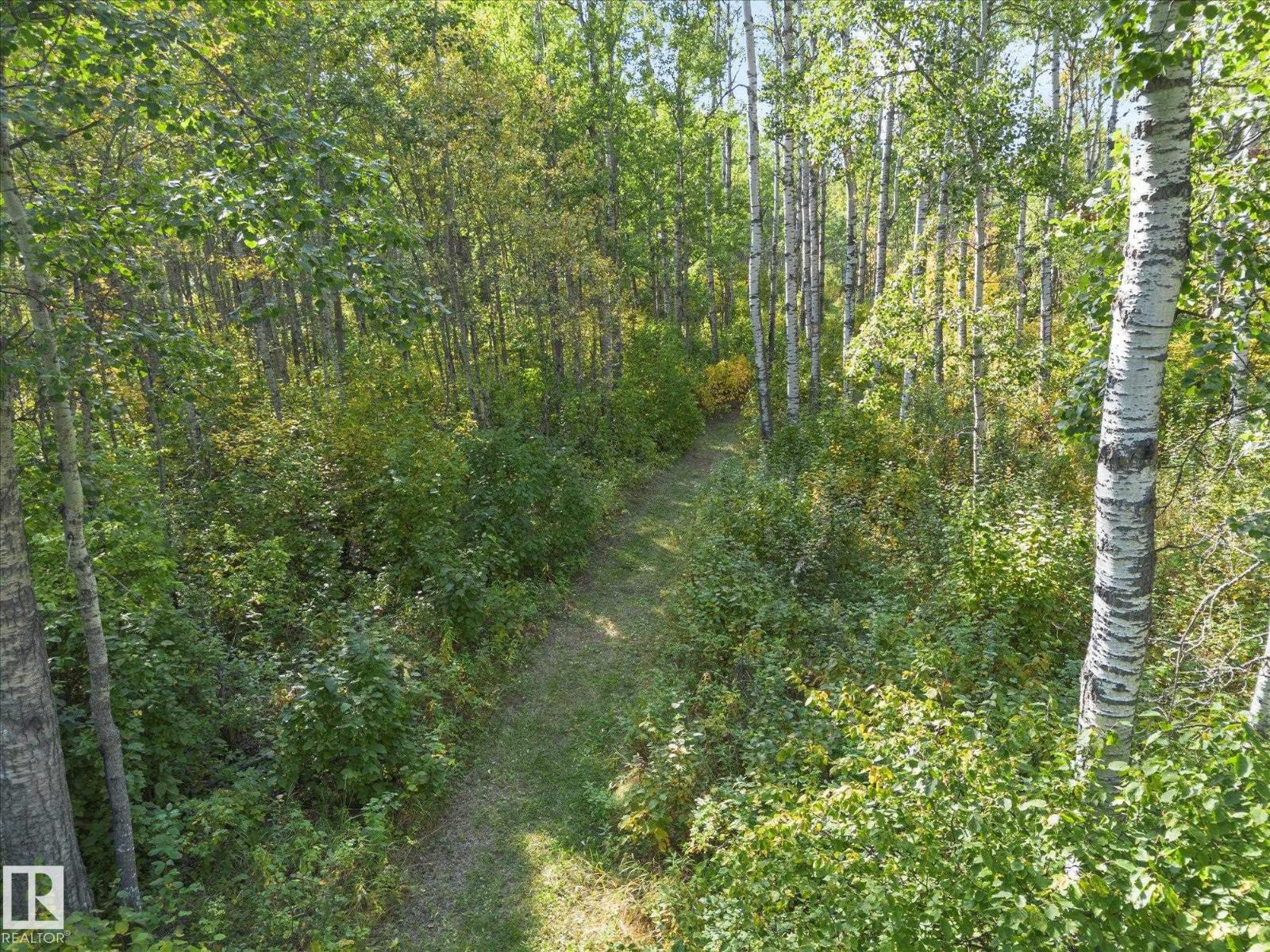 54426 Rge Road 15, Rural Lac Ste. Anne County, Alberta  T0E 1V0 - Photo 31 - E4460920