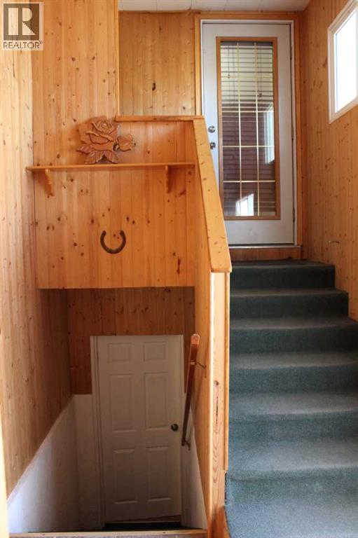 3 Long Pine Court, Duchess, Alberta  T0J 0Z0 - Photo 35 - A2257502