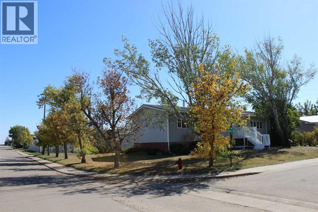 3 Long Pine Court, Duchess, Alberta  T0J 0Z0 - Photo 46 - A2257502