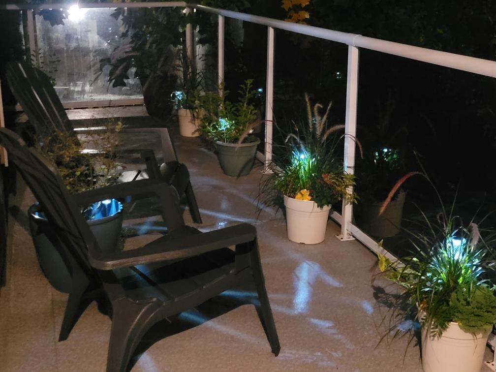 4125 Belanger Drive, Abbotsford, British Columbia  V3G 1K3 - Photo 15 - R3052689