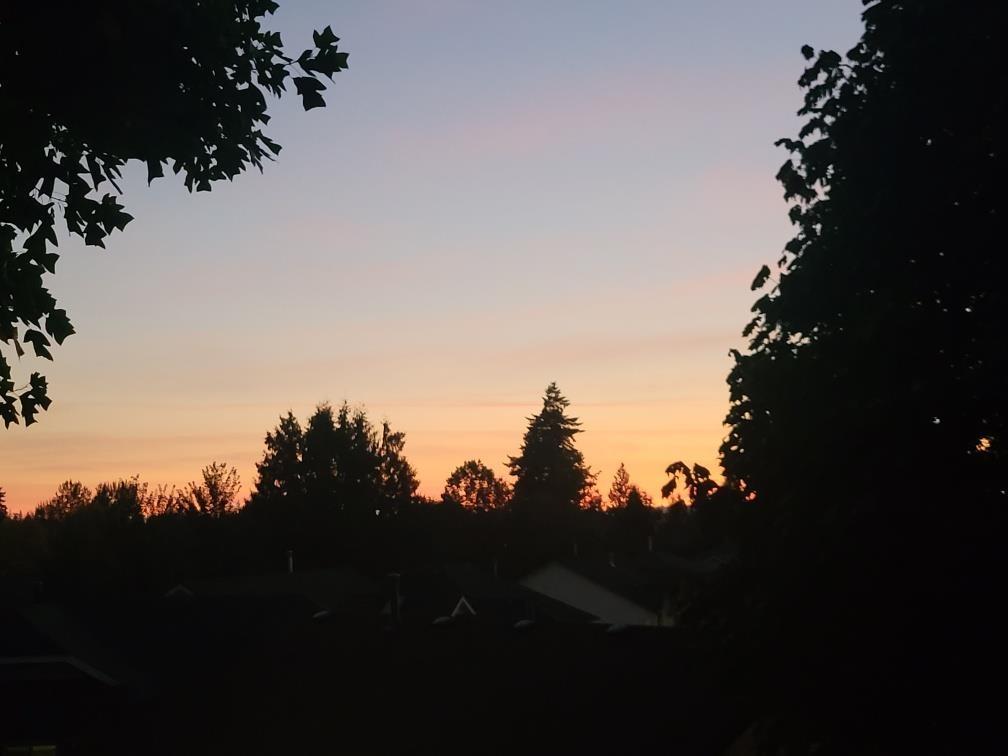 4125 Belanger Drive, Abbotsford, British Columbia  V3G 1K3 - Photo 40 - R3052689