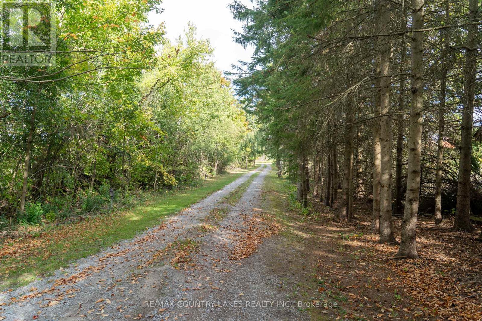 341 County Rd 46, Kawartha Lakes, Ontario  K0M 2M0 - Photo 34 - X12445563