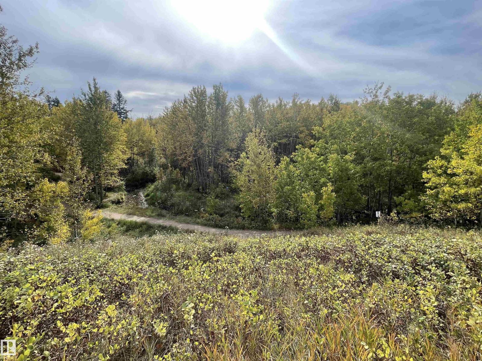 4631 43 Av Nw, Edmonton, Alberta  T6L 6L9 - Photo 74 - E4460205