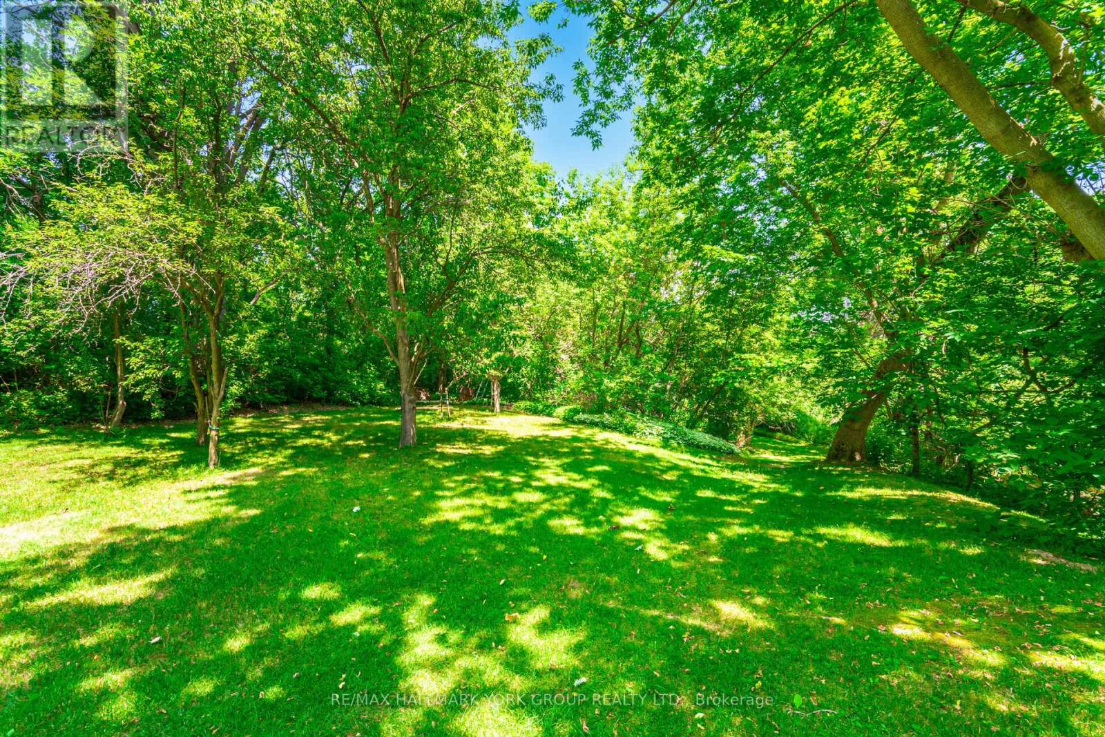390 Main Street, King (Schomberg), Ontario  L0G 1T0 - Photo 4 - N12445620