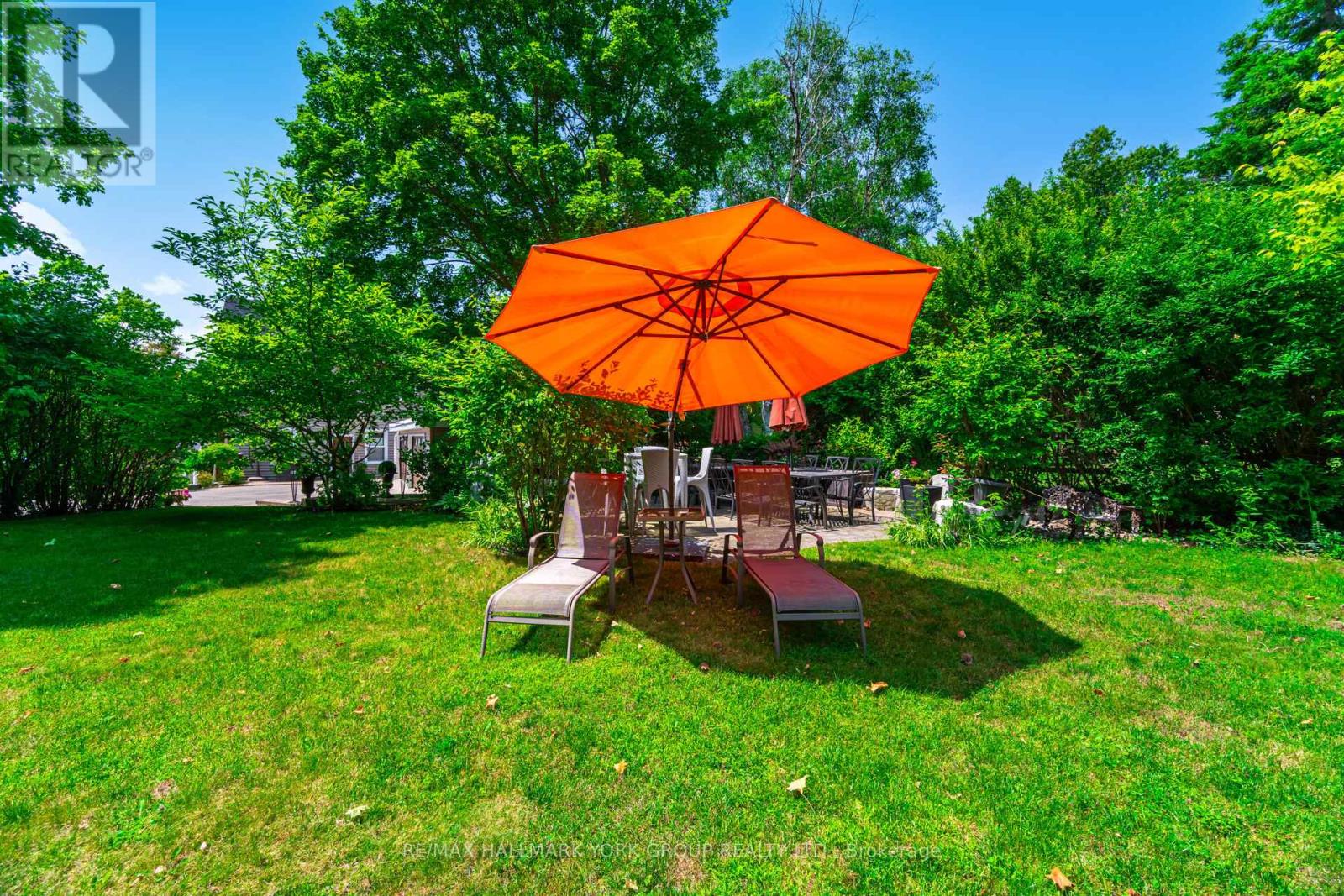 390 Main Street, King (Schomberg), Ontario  L0G 1T0 - Photo 6 - N12445620
