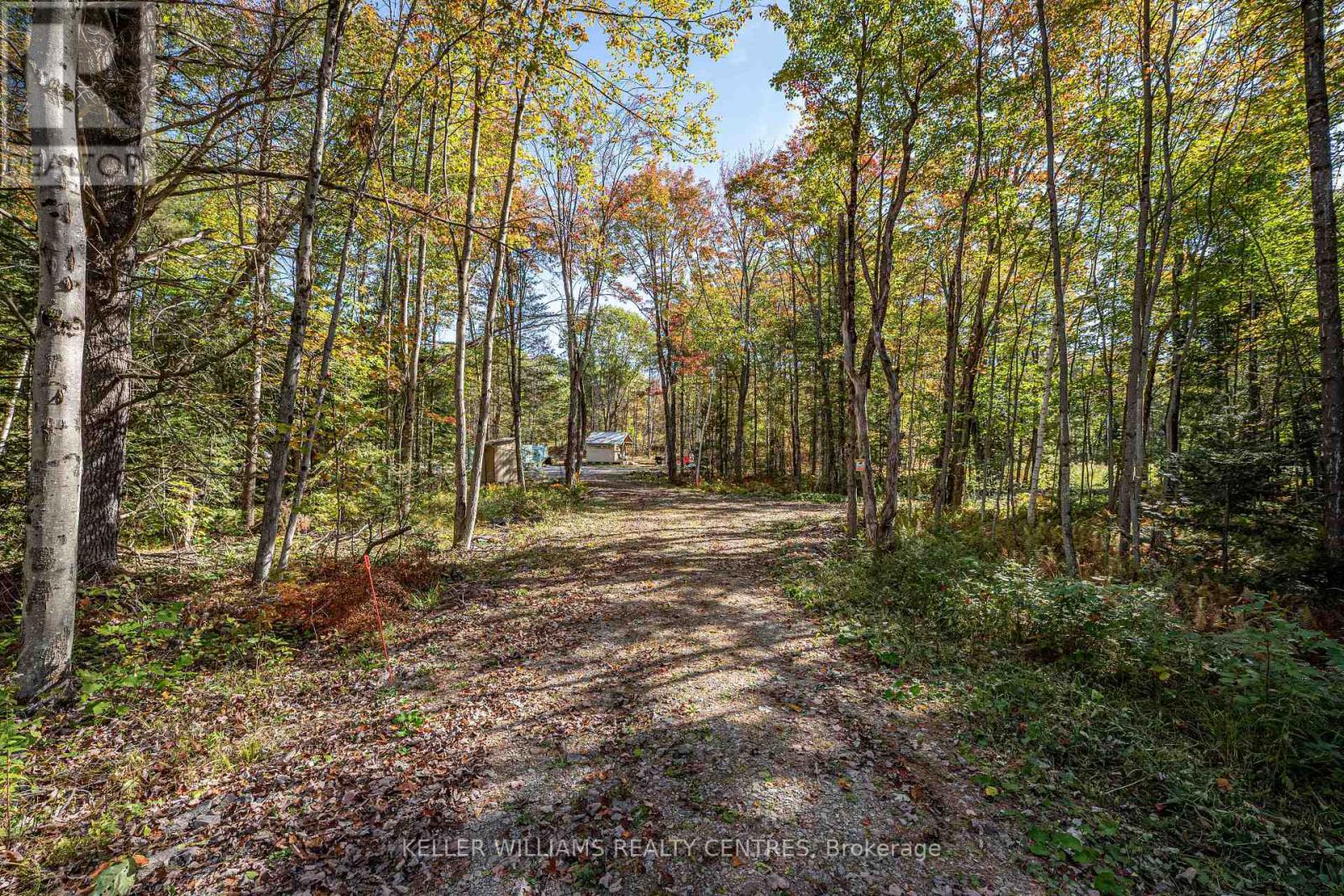 3124 Southwood Road, Gravenhurst (Wood (Gravenhurst)), Ontario  P0E 1G0 - Photo 5 - X12445743