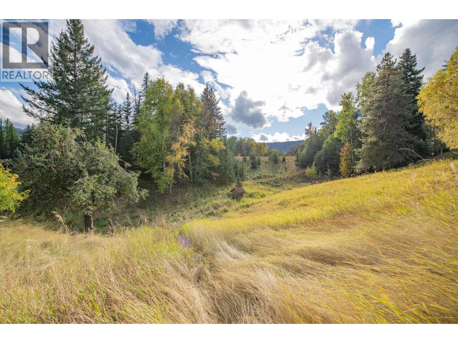 3144 Creighton Valley Road, Cherryville, British Columbia  V0E 2G3 - Photo 37 - 10364868