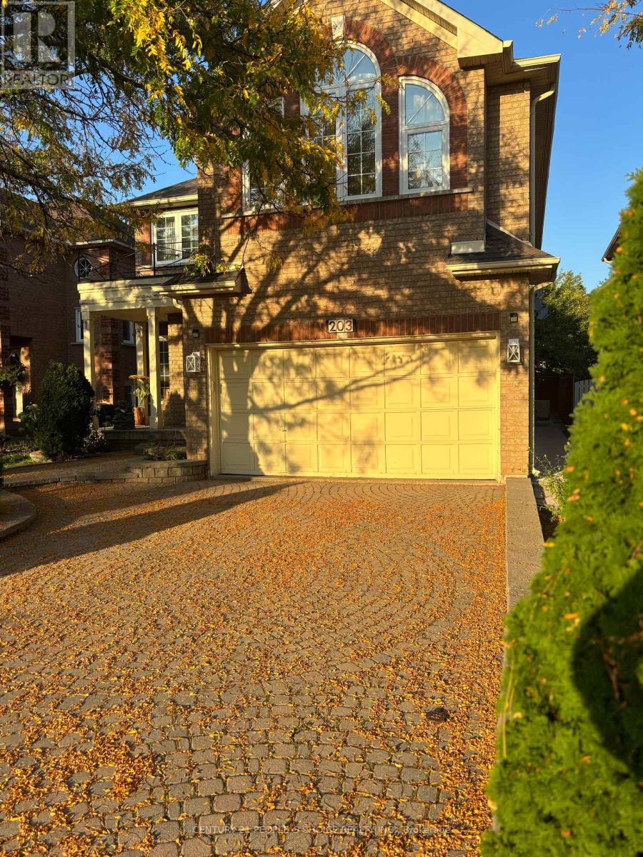 Bsmt - 203 Drinkwater Road, Brampton, Ontario  L6Y 4Z3 - Photo 4 - W12445768