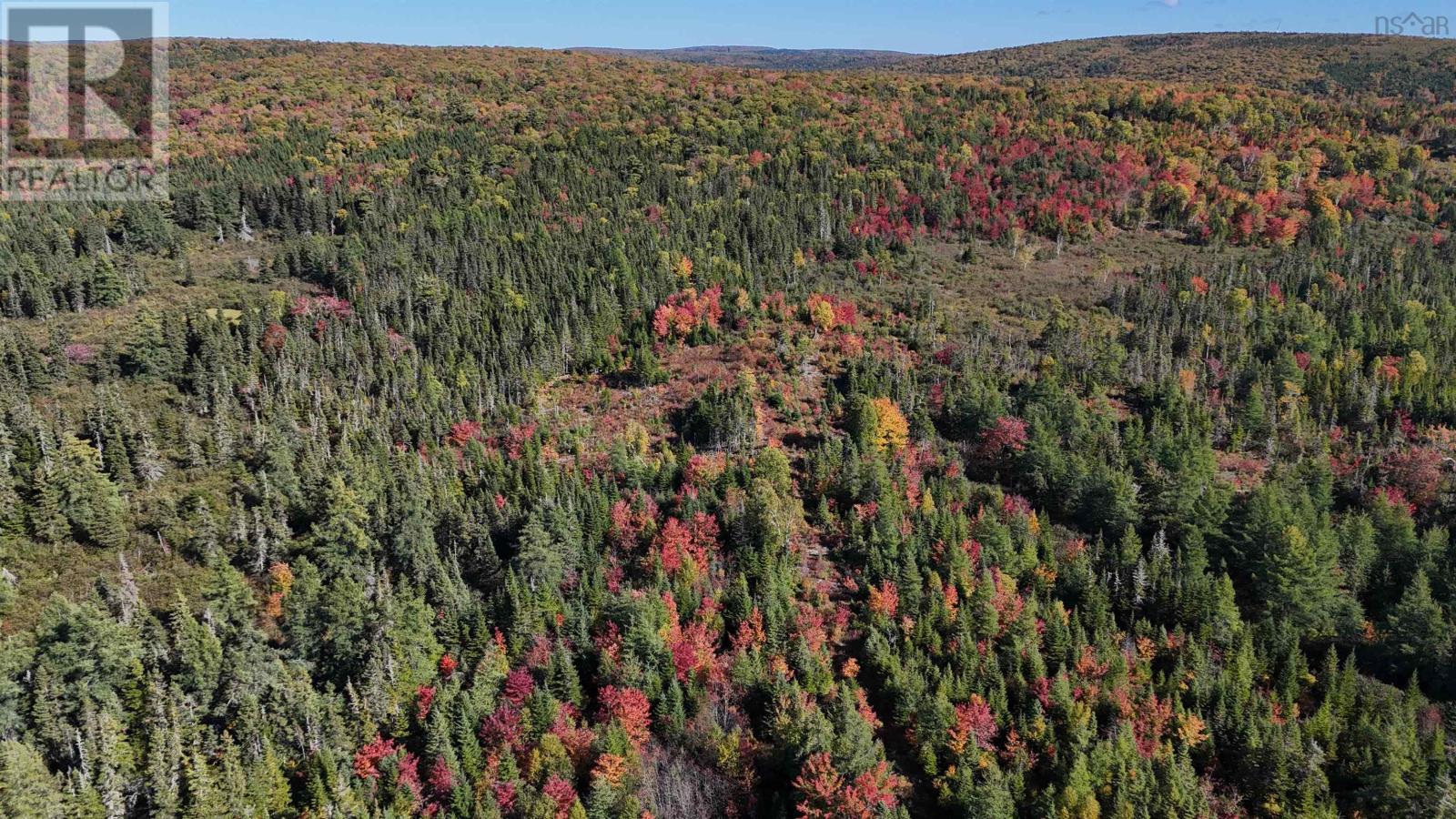 Big Baddeck Road, Baddeck Forks, Nova Scotia  B0E 1B0 - Photo 5 - 202525137
