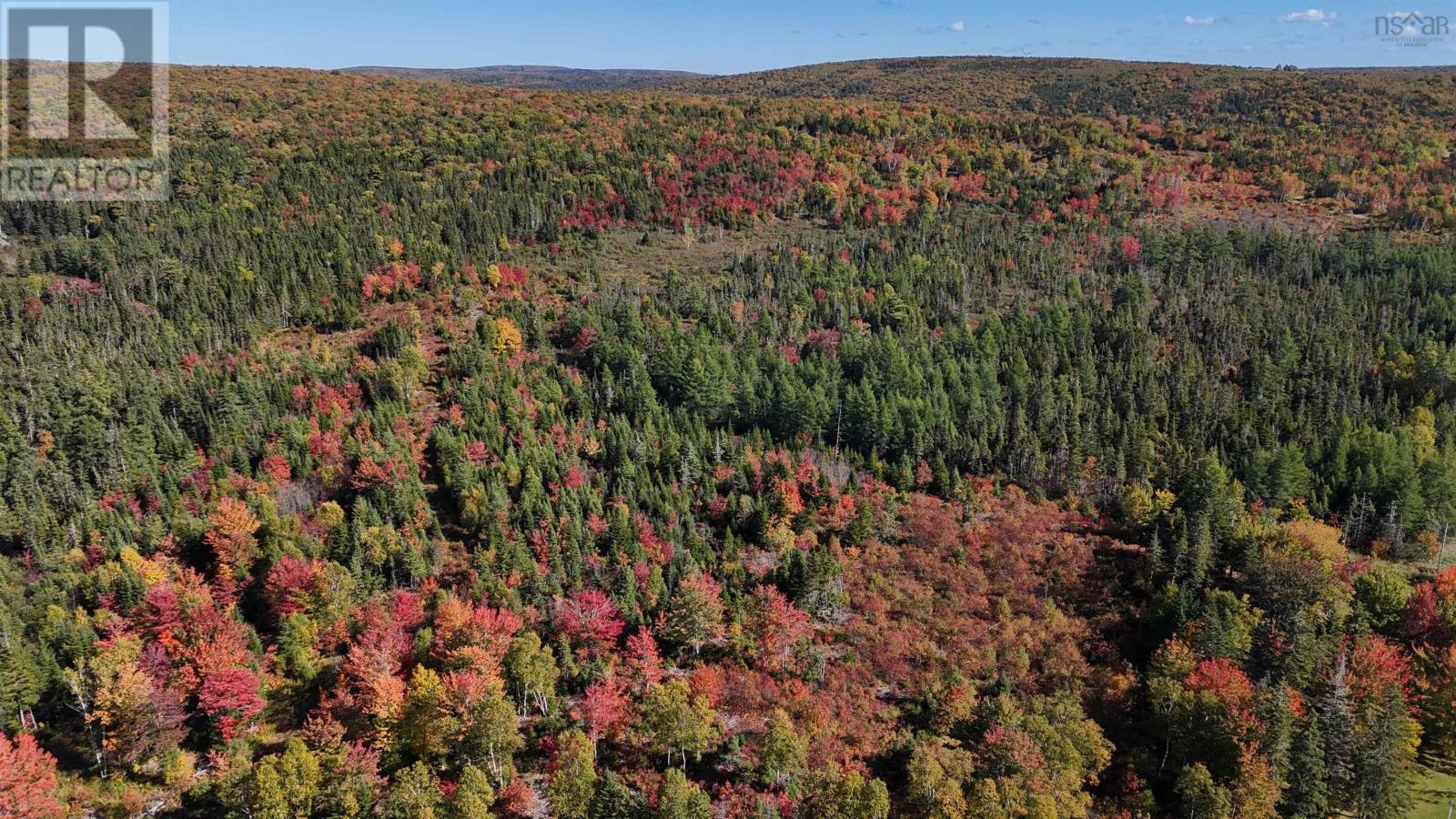 Big Baddeck Road, Baddeck Forks, Nova Scotia  B0E 1B0 - Photo 6 - 202525137