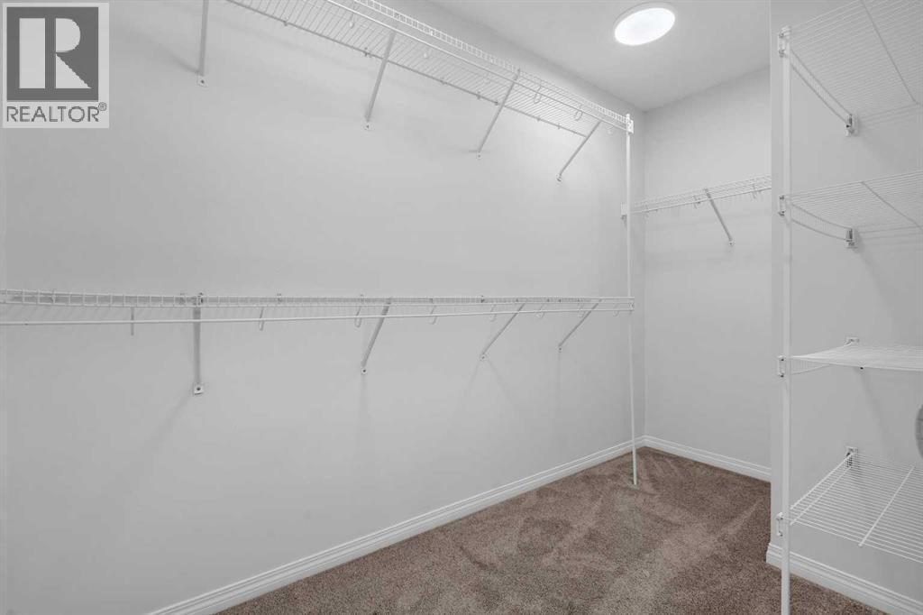 176 Skyview Point Road Ne, Calgary, Alberta  T3N 0K4 - Photo 27 - A2257432