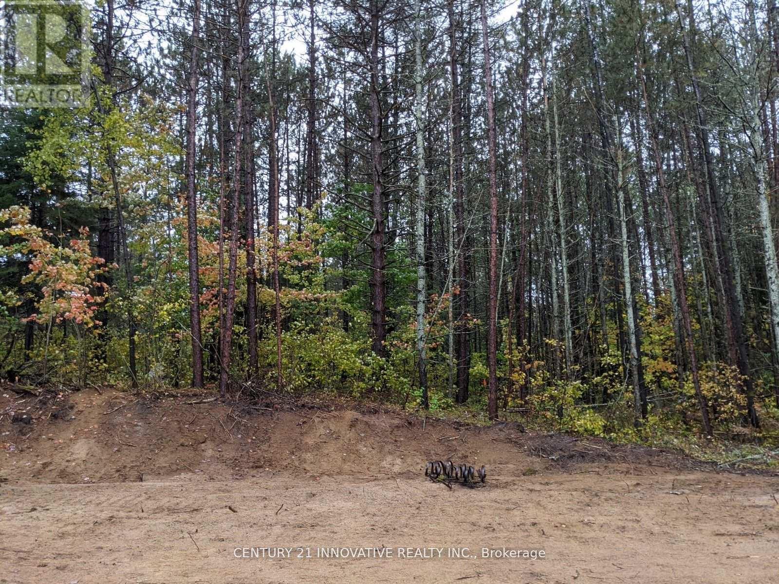 57 Bird Lake Road, Hastings Highlands, Ontario  K0L 1C0 - Photo 7 - X12445833