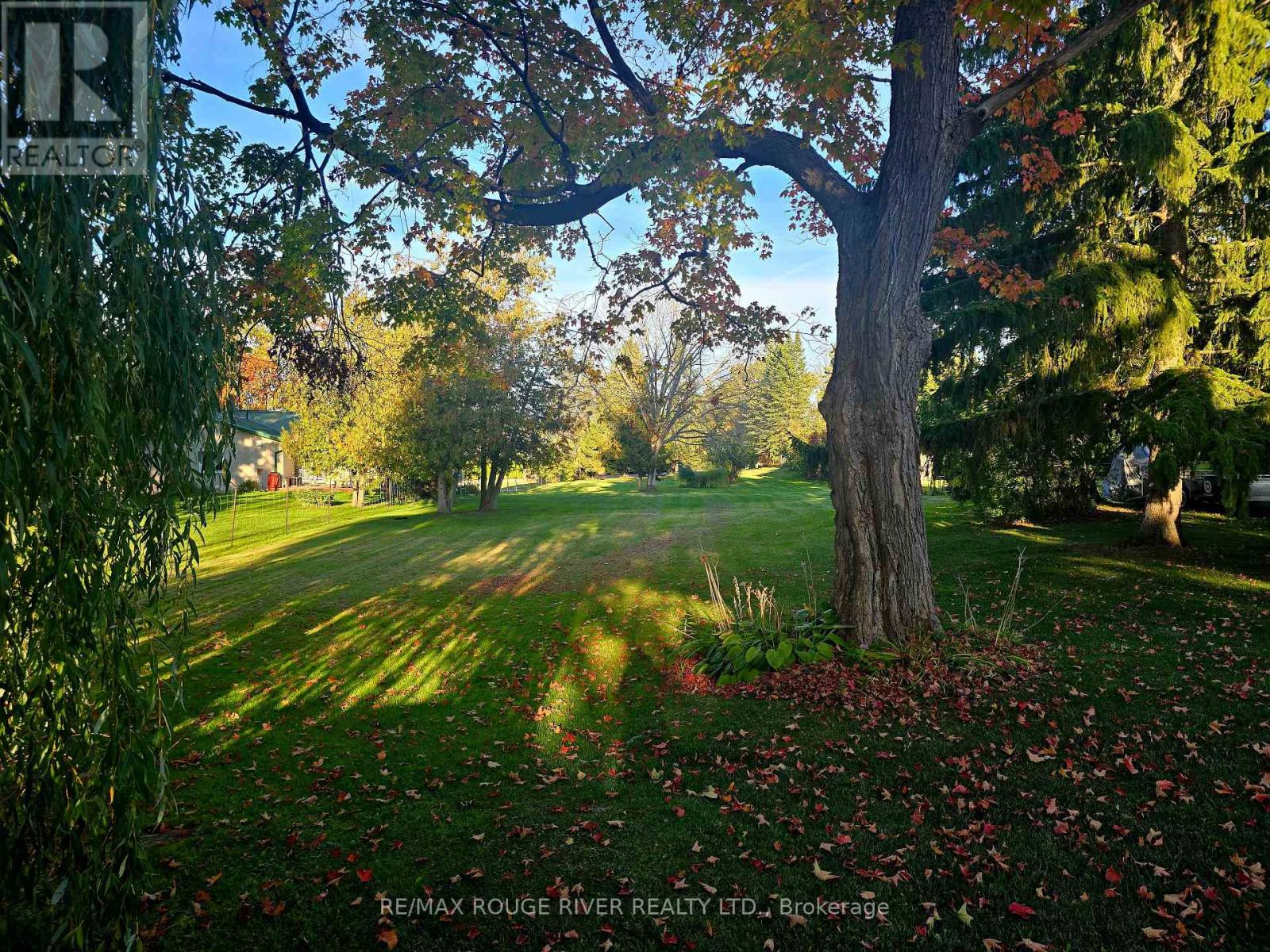 0 Butternut Drive, Kawartha Lakes, Ontario  K9V 4R1 - Photo 1 - X12445864