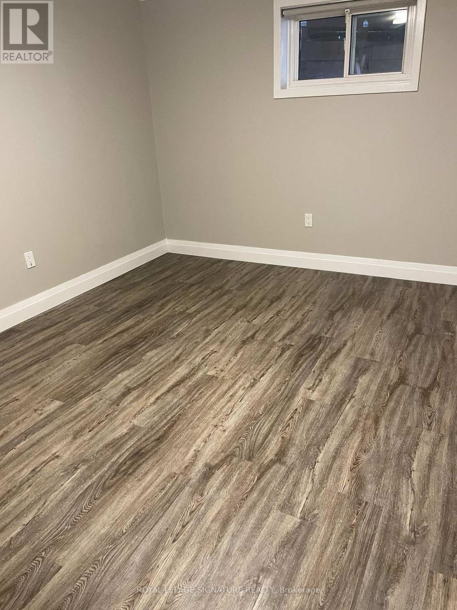 Lower - 1566 Northmount Avenue W, Mississauga, Ontario  L5E 1Z1 - Photo 5 - W12445899