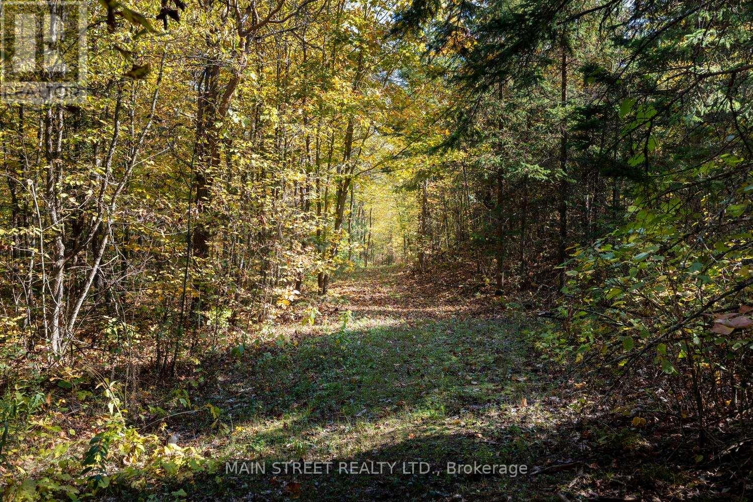 4730 Devitts Road, Scugog, Ontario  L0B 1B0 - Photo 43 - E12445909