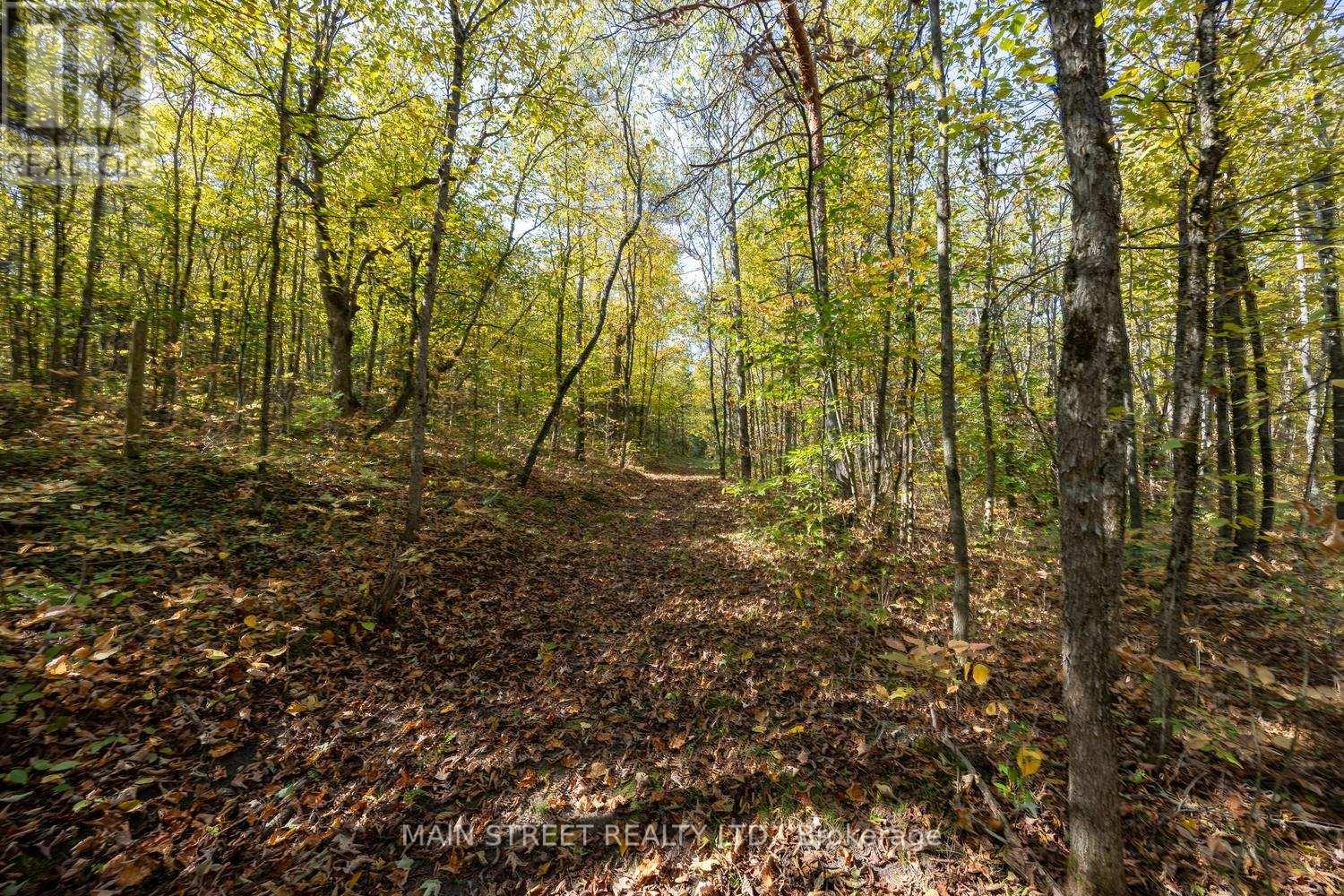 4730 Devitts Road, Scugog, Ontario  L0B 1B0 - Photo 44 - E12445909